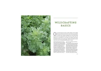Northeast Medicinal Plants: Identify, Harvest, and Use 111 Wild Herbs for Health and Wellness by Liz Neves