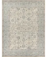 Exquisite Rugs Harper ER4231 8' x 10' Area Rug