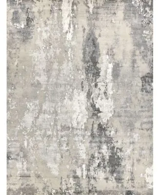 Exquisite Rugs Cosmo Er4345 Area Rug