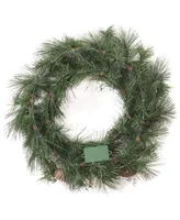 National Tree Company 24" Whitter Pine Wreath with Led Lights