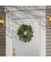 National Tree Company 24" Magnolia Mix Pine Wreath with Led Lights