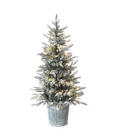 National Tree Company 4.5' Snowy Alpine Fir Entrance Tree with Led Lights