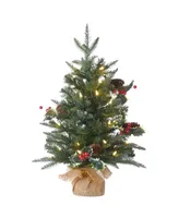 National Tree Company 2' Happy Hill Pine Tree with Led Lights