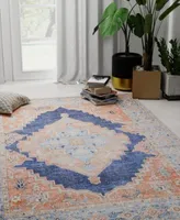 Bb Rugs Effects Eff208 Area Rug