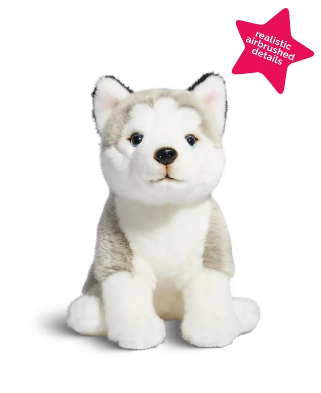 Buy Geoffrey's Toy Box 6 Fancy Pets Plush Corgi Puppy, Created for Macys