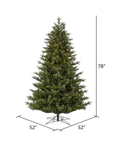 Vickerman Welch Fraser Fir Artificial Christmas Tree, Warm Dura-lit Led Lights