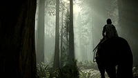 Sony Computer Entertainment Shadow of the Colossus