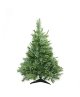 Northlight Full Ashcroft Cashmere Pine Unlit Artificial Christmas Tree, 3'