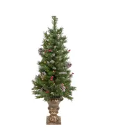 Northlight 4' Pre- Lit Frosted Verona Berry Pine Artificial Christmas Entryway Set, 5 Piece