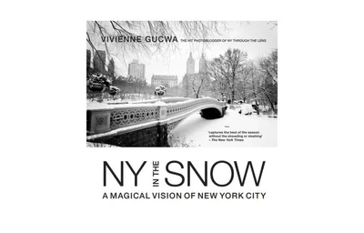New York in the Snow: A Magical Vision of New York City by Vivienne Gucwa