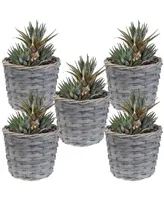 Sunnydaze Decor 6.75 in Rattan Wicker Basket Planters with Lining - Set of 5