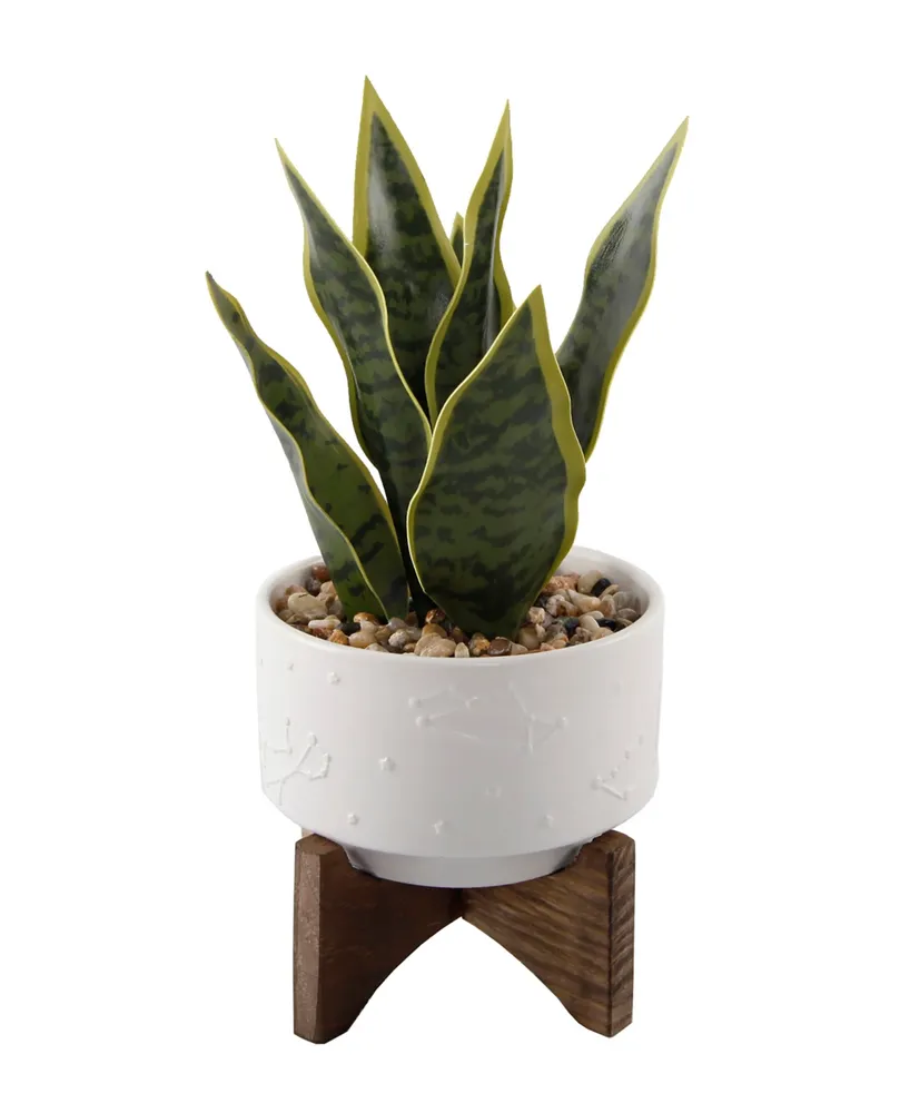 Flora Bunda Snake Plant in Constellation Ceramic Pot on Stand, 9.7"