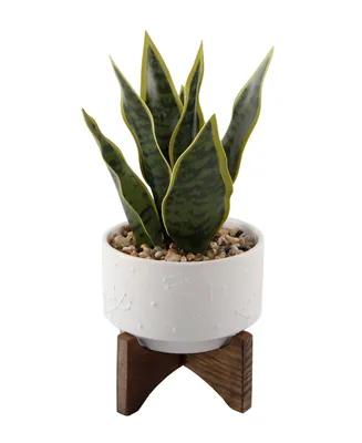 Flora Bunda Snake Plant in Constellation Ceramic Pot on Stand, 9.7"
