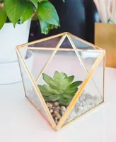 Flora Bunda Glass Square Open Top Terrarium with Faux Succulents Garden, 7"