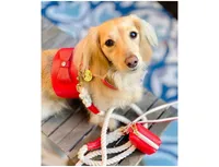 PoisePup Pet Dog Waste Bag Holder
