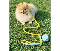 PoisePup Pet Dog 5ft Long Leash - Sunshine Babe