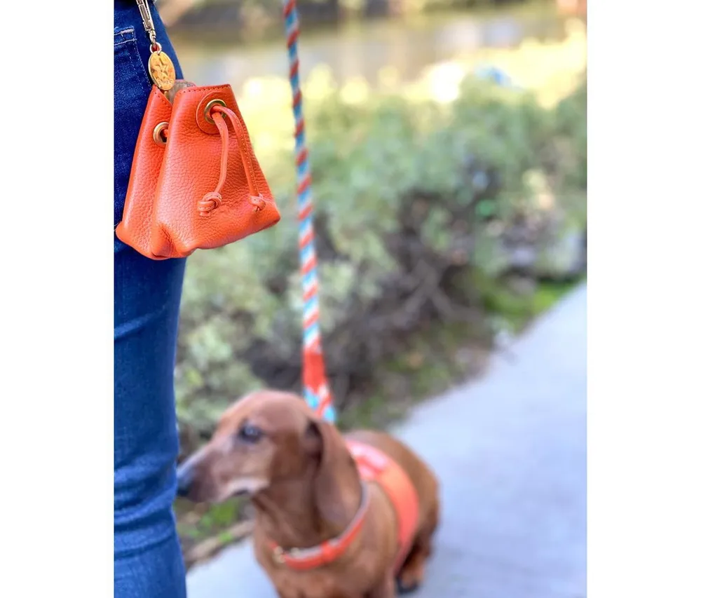Pet Dog Treat Bag - Vibrant Sunset