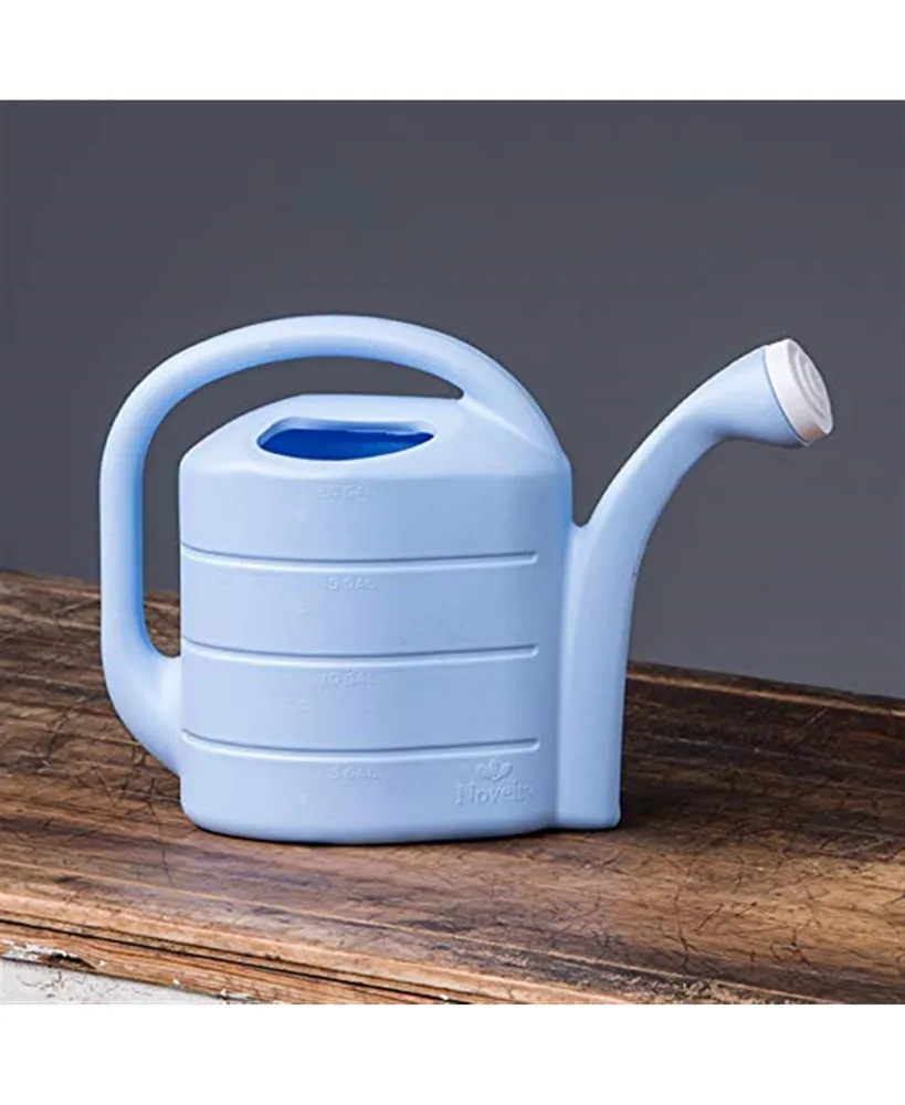 Novelty Deluxe Plastic Watering Can, Sky Blue, 2 Gallons