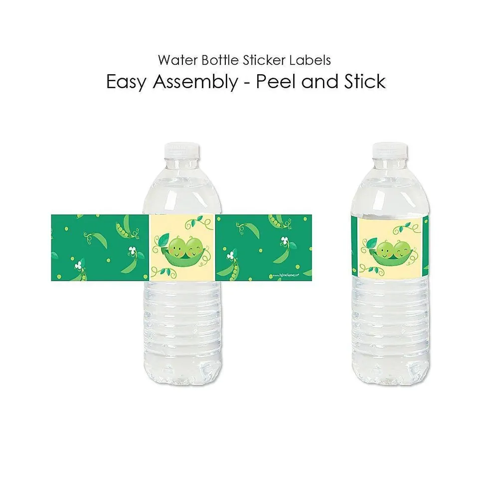 Double the Fun - Twins Two Peas in a Pod - Water Bottle Sticker Labels - 20 Ct