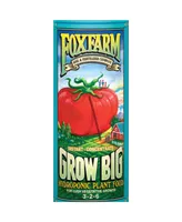 Hydrofarm FoxFarm Grow Big Hydro Liquid Concentate Plant Food, 1 qt