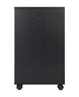 Winsome Halifax 26.3" Wood 2-Drawer Wide Filing Storage Cabinet