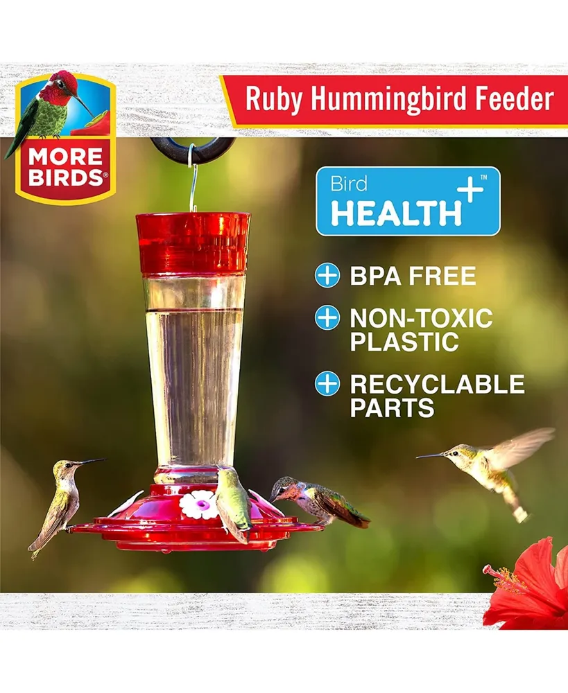 Classic Brands Llc More Birds Classic Ruby Hummingbird Feeder