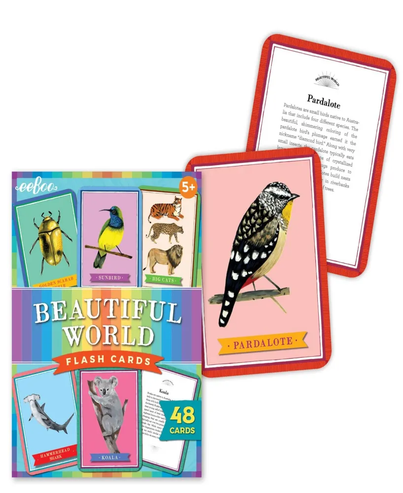 Eeboo Beautiful World Educational Flash Cards 48 Piece Set