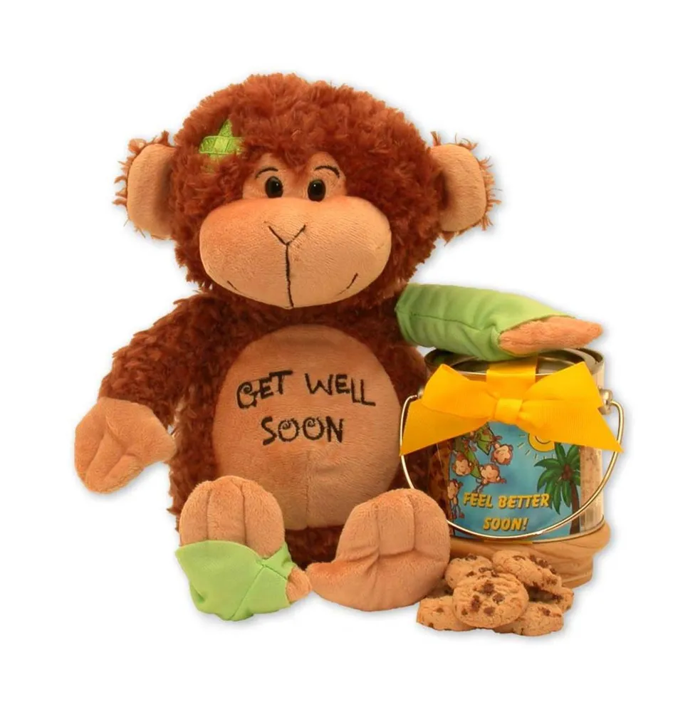 Gbds Hugs & Kisses Get Well Care Package- get well soon gifts for women -  get well soon gift basket - 1 Basket