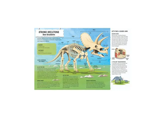 Dinosaurs: 400 Words for Budding Paleontologists – Merriam-Webster