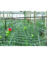 Tenax Hortonova Plant Net Support, White 6.5' x 100'