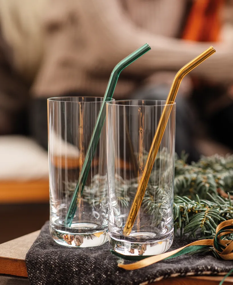Glass Drinking Straw Set of 4
