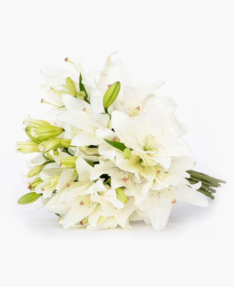 BloomsyBox Casablanca White Lilies Fresh Flower Bouquet