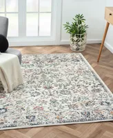 Lr Home Plymouth Erra 5' x 7' Area Rug