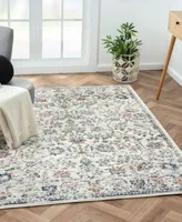 Lr Home Plymouth Erra Area Rug