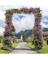 Garden Wedding Rose Arch Pergola Archway Flowers Climbing Plants Trellis Metal