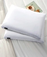 Beautyrest 2" Gussted Feather & Down Medium/Firm 2-Pack Pillow