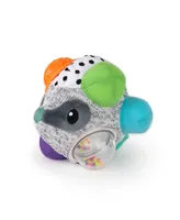 Sassy Bumpy Badger Developmental Baby Toy, 0 months plus - Assorted Pre