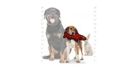 Tuffy Ocean Creature Trout Red