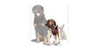 Tuffy Jr Barnyard Rabbit Brown, 2-Pack Dog Toys