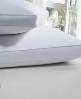 Beautyrest Luxury European Down Pillows