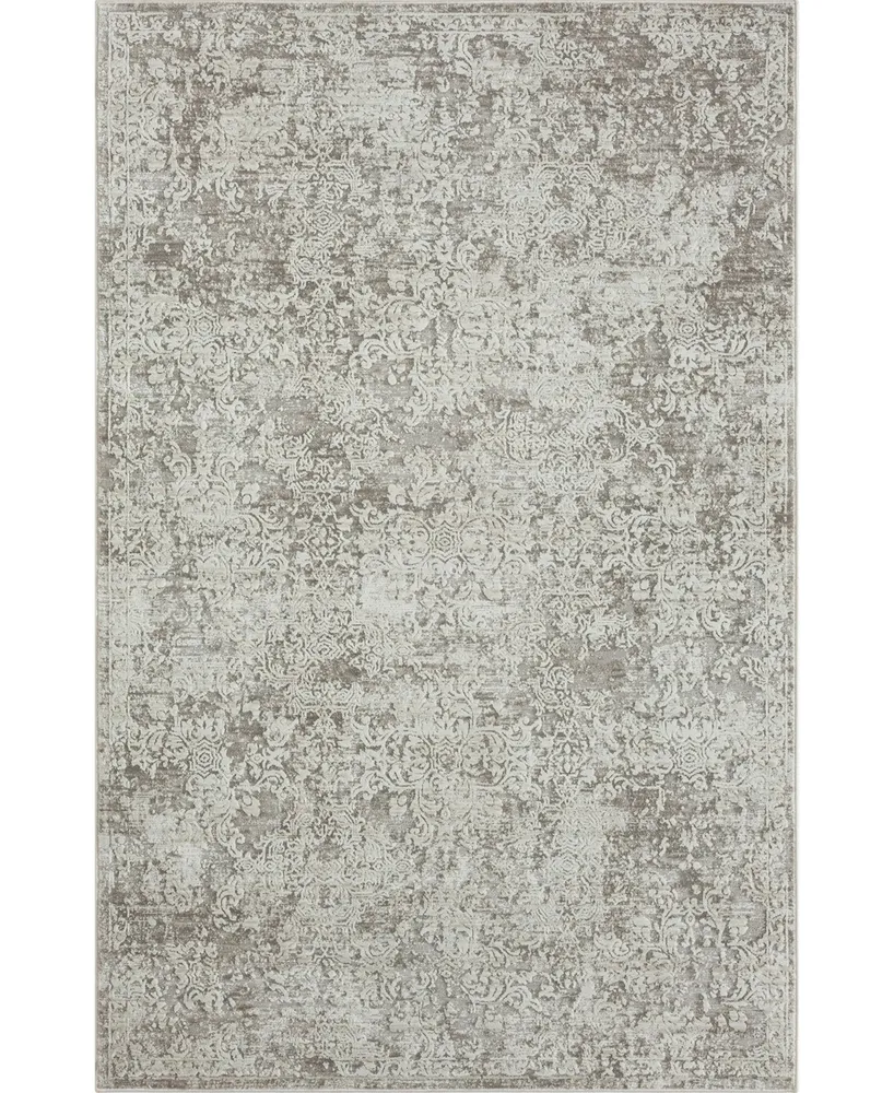 Lr Home Bienne BIENA82285 4' x 6' Area Rug