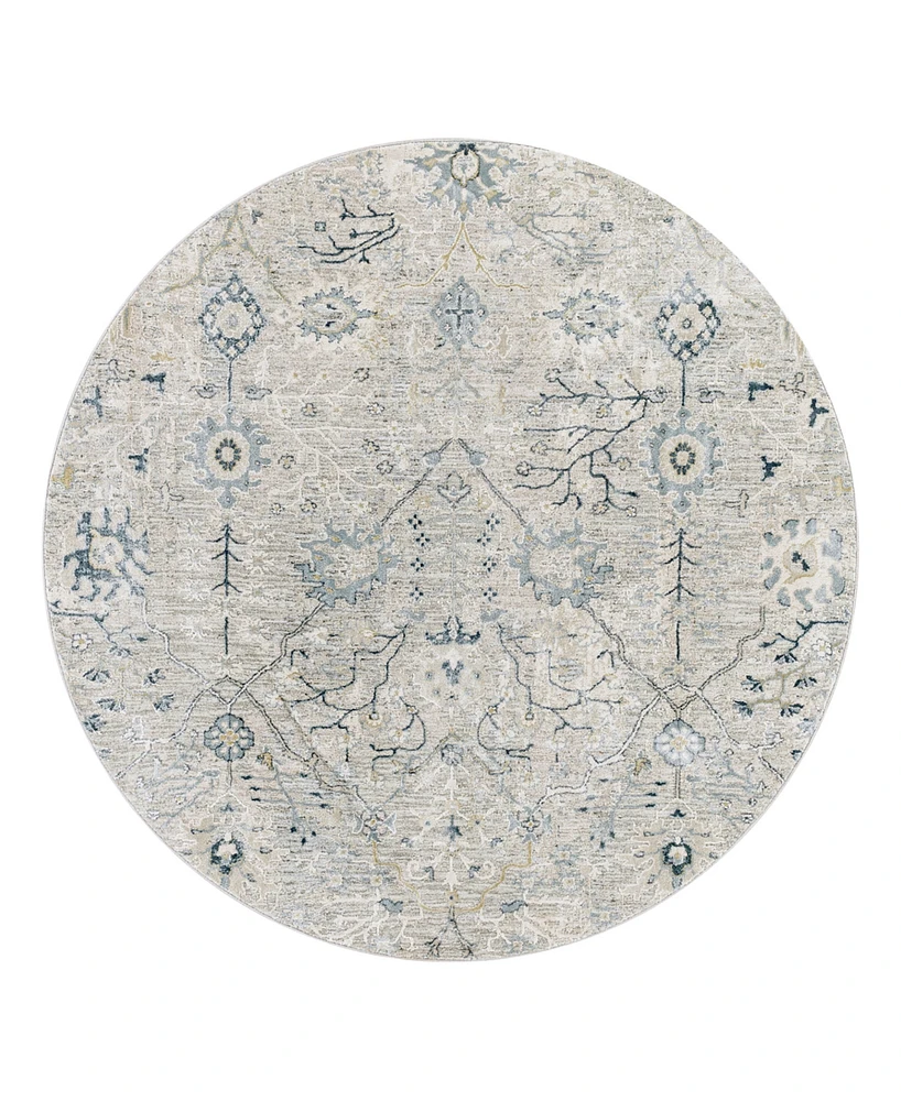 Livabliss Brunswick Bwk- 7'10" x 7'10" Round Area Rug