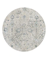 Livabliss Brunswick Bwk- 7'10" x 7'10" Round Area Rug