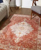 Livabliss Mirabel Mbe Area Rug