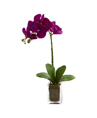 24" Orchid Phalaenopsis Artificial Arrangement in Vase
