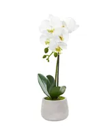 Nearly Natural Phalaenopsis Orchid Artificial Arrangement (Set of 2)