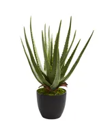 Nearly Natural Aloe Artificial Plant, Set of 2