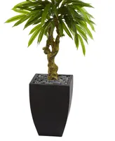 Nearly Natural 5.5' Mango Artificial Tree in Black Wash Planter Uv Resistant