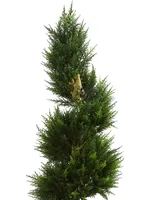 Nearly Natural 6' Spiral Cypress Artificial Tree in Cylinder Planter Uv Resistant