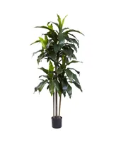 Nearly Natural 5' Dracaena Plant Uv Resistant